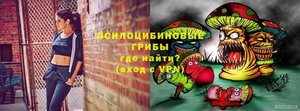 прущая мука Арсеньев