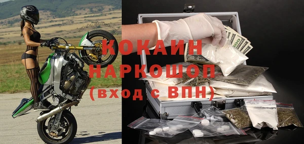 стафф Ельня
