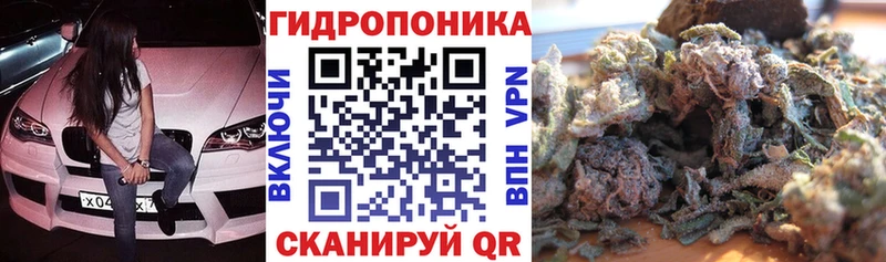 Шишки марихуана OG Kush  закладка  Байкальск 